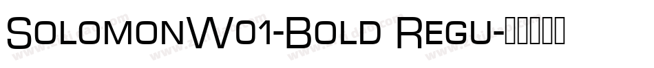 SolomonW01-Bold Regu字体转换